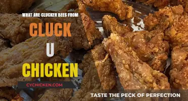 Clucker Bees Unveiled: Exploring Cluck U Chicken's Unique Buzzing Phenomenon