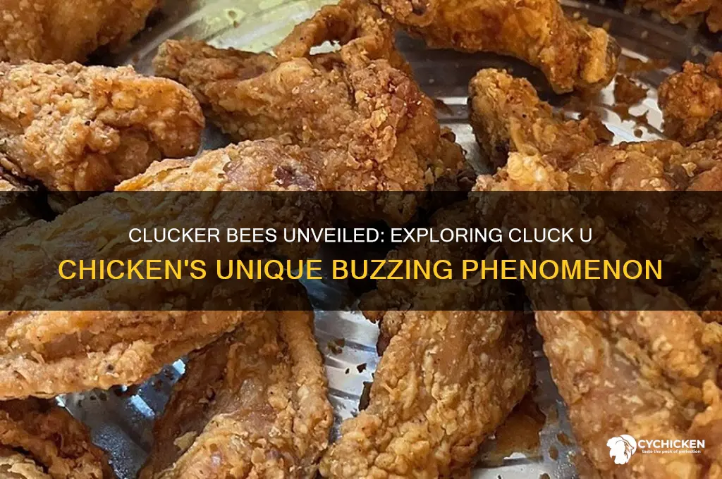 what are clucker bees from cluck u chicken
