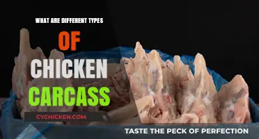Exploring Varied Chicken Carcass Types: A Comprehensive Guide for Poultry Enthusiasts