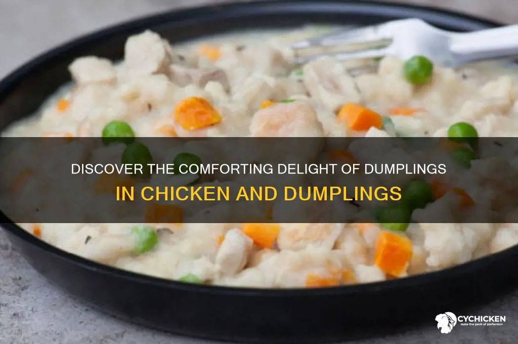 what are dumplings in chicken and dumplings