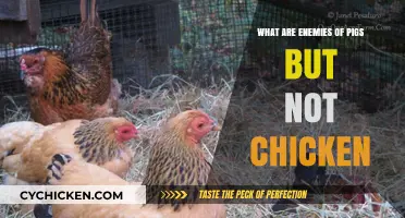 Pigs' Foes, Chickens' Friends: Uncovering Species-Specific Threats in Farming