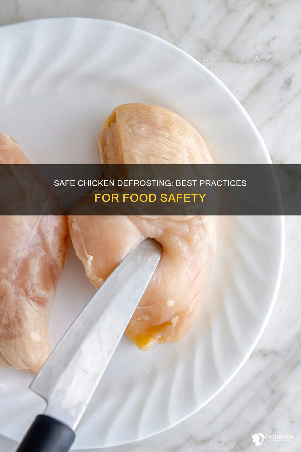 what are food service safe ways to defrost chicken