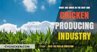 GMOs in Poultry and Meat: What's the Deal?