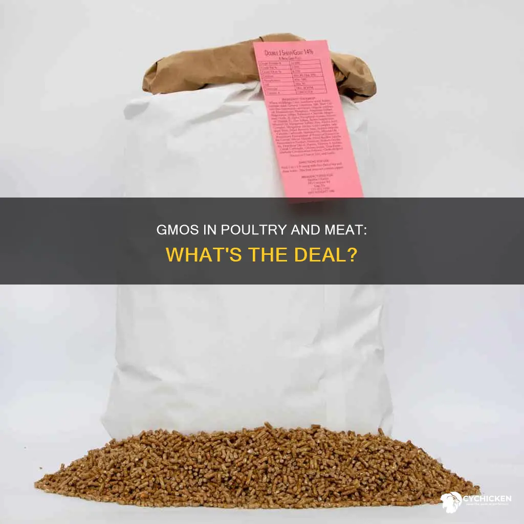 what are gmos in the beef and chicken producing industry