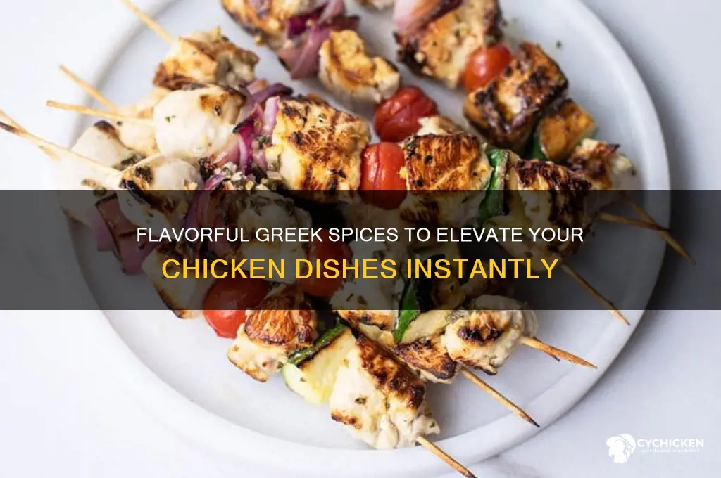 what are greek spices to put on chicken