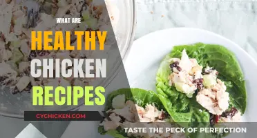 Delicious and Nutritious: Healthy Chicken Recipes for Every Meal