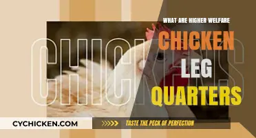 Higher Welfare Chicken Leg Quarters: Understanding Ethical and Quality Poultry Choices