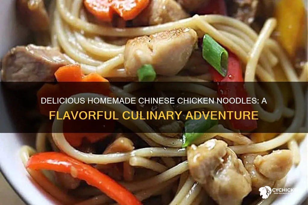what are homemade noodles with chicken chinese food