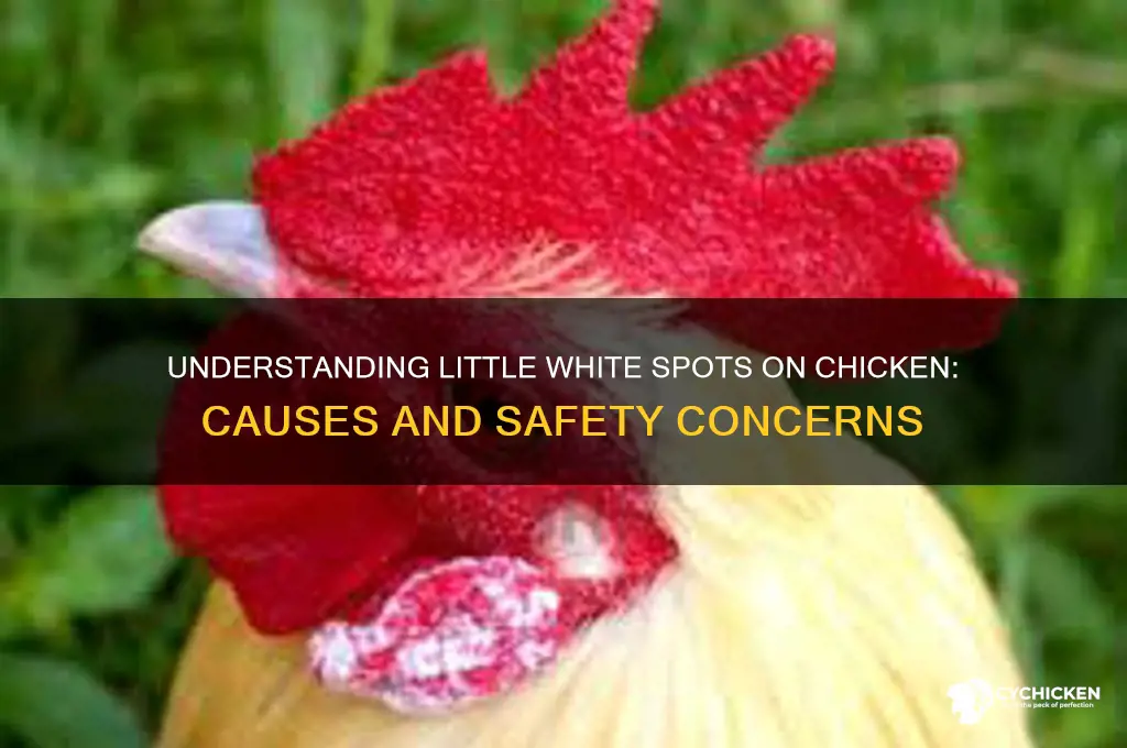 what are little white spots on chicken