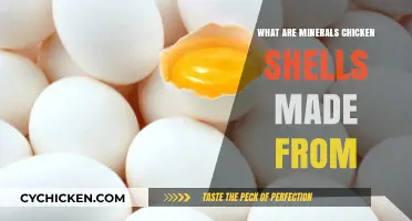 Unveiling the Mineral Composition of Chicken Eggshells: A Detailed Analysis