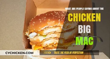Chicken Big Mac: Worth the Hype?