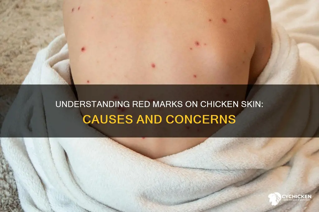 what are red marks on chicken skin