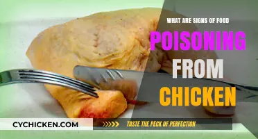 Recognizing Food Poisoning Symptoms After Eating Chicken: Key Signs to Watch For