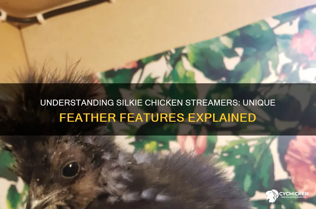 what are streamers on a silkie chicken