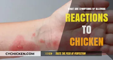 Recognizing Chicken Allergy Symptoms: Signs of an Allergic Reaction