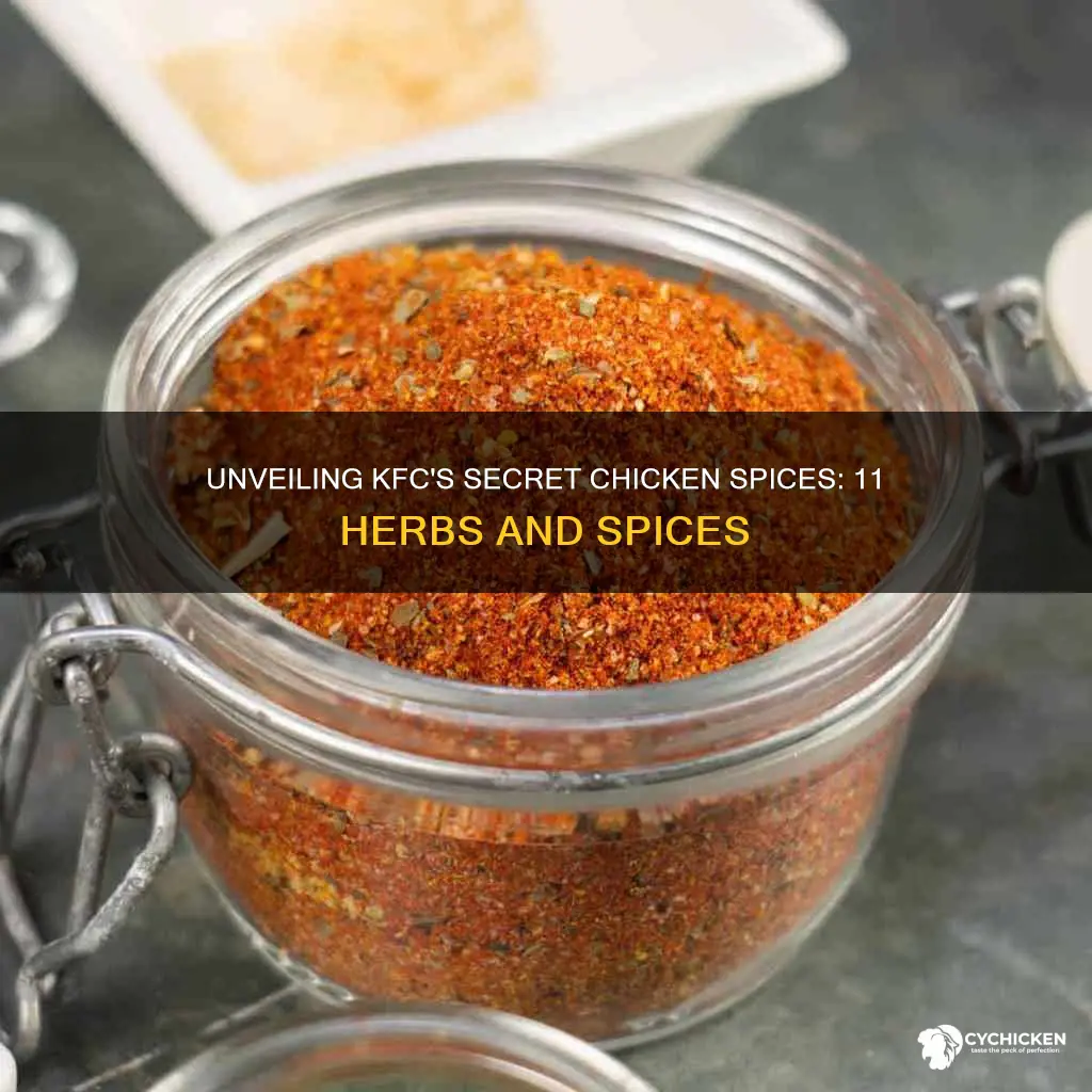 what are the 11 secret spices in kfc chicken