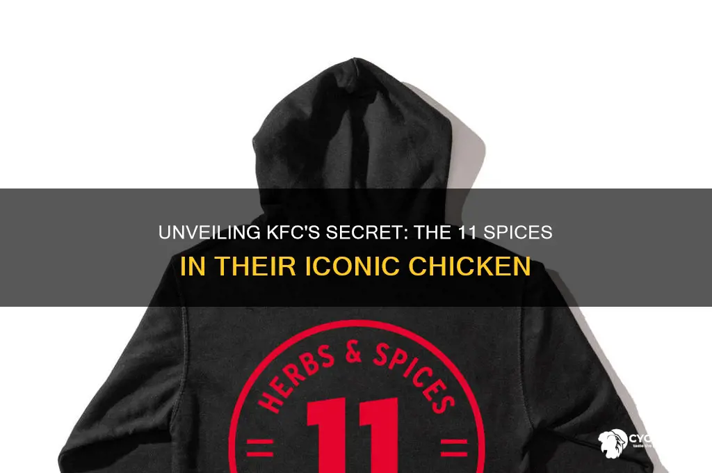 what are the 11 spices in kfc chicken