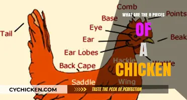 Understanding the Chicken: A Breakdown of Its 8 Essential Parts