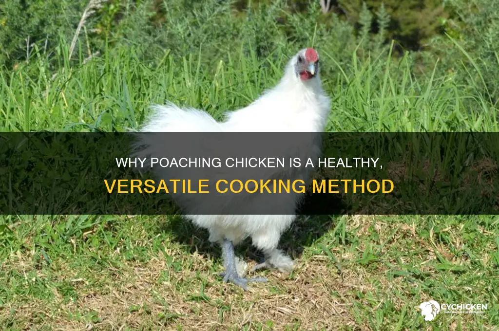 what are the advantages to poaching chicken