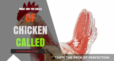 What Are Chicken Balls Called? Uncovering Poultry Anatomy Facts