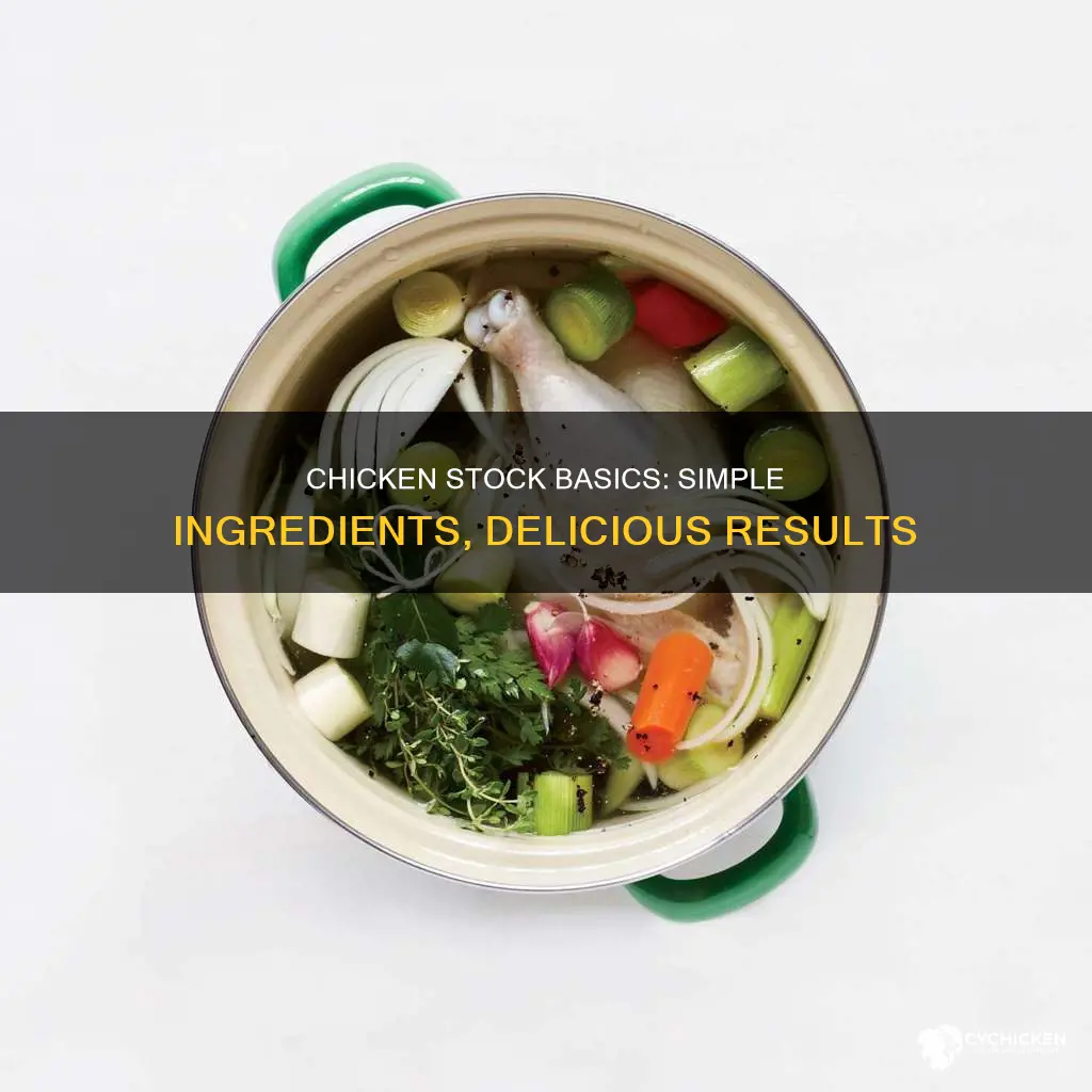 what are the basic ingredients in a chicken stock