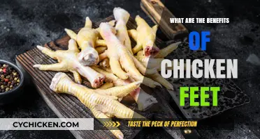 Discover the Surprising Health Benefits of Chicken Feet