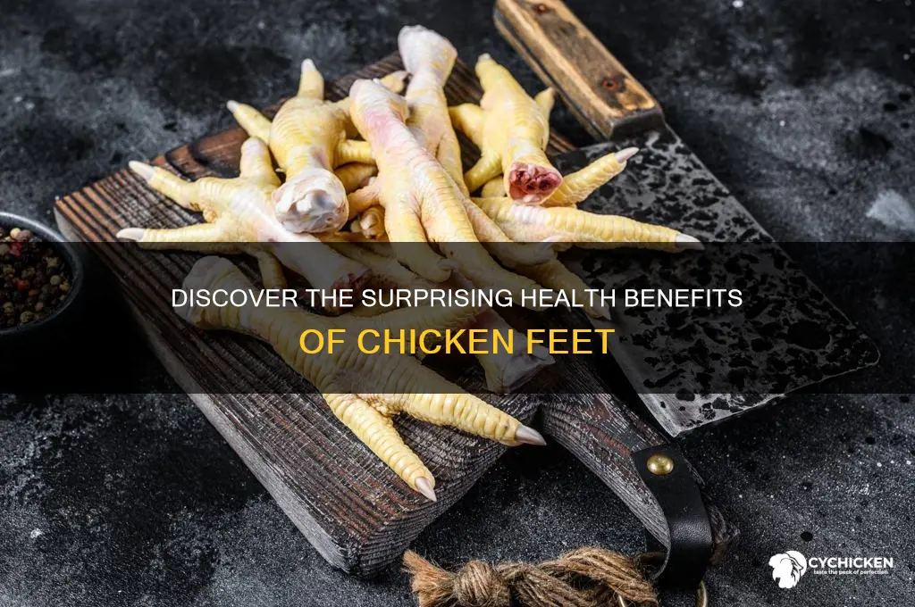 what are the benefits of chicken feet