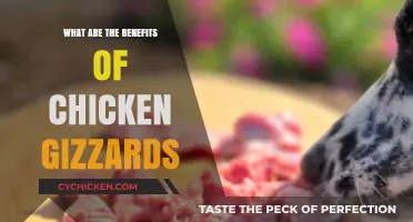 Discover the Surprising Health Benefits of Chicken Gizzards Today