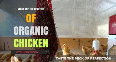 Organic Chicken Benefits: Healthier, Tastier, and Environmentally Friendly Choice