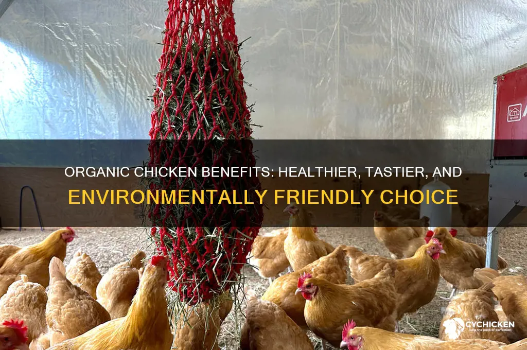what are the benefits of organic chicken