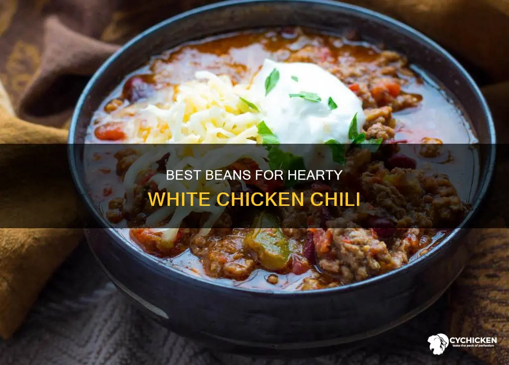 what are the best beans for white chicken chili
