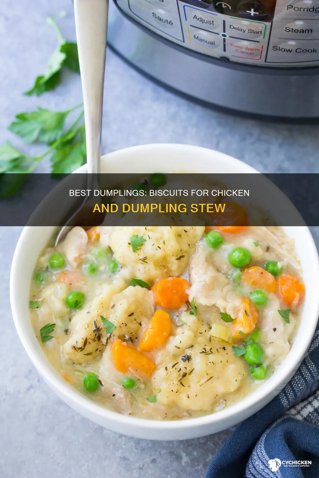 what are the best biscuits for chicken and dumplings