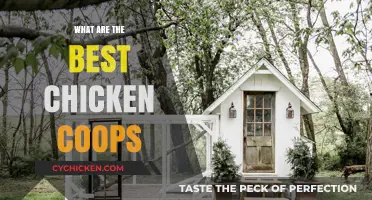 Top Picks: Spacious and Stylish Chicken Coops for Happy Hens