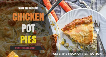 Savor the Comfort: Unveiling the Best Chicken Pot Pies