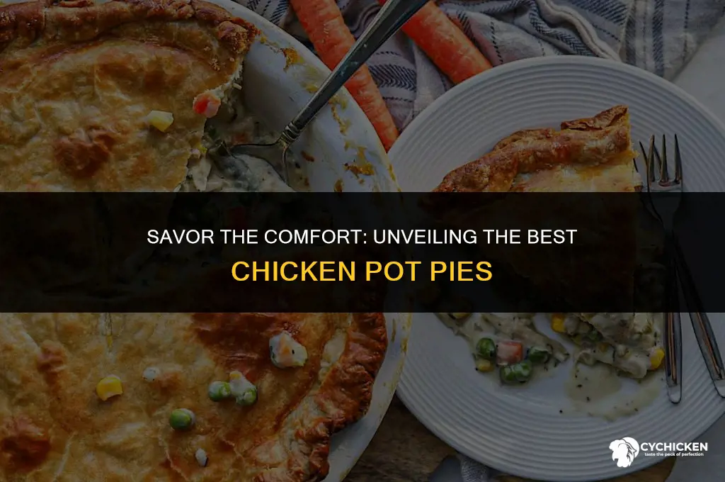 what are the best chicken pot pies
