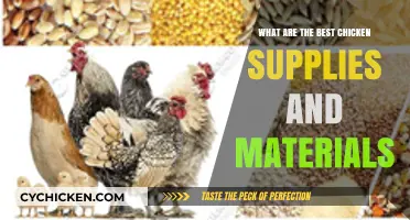 Essential Chicken Supplies: Top Materials for Happy, Healthy Flock Care