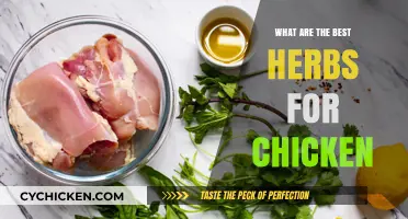 Flavorful Herbs to Elevate Your Chicken Dishes Perfectly Every Time