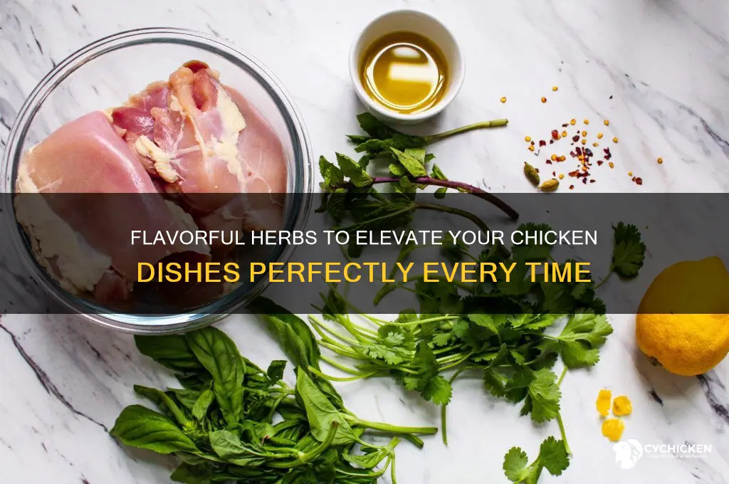 what are the best herbs for chicken