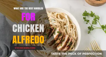Perfect Pairing: Top Noodles to Elevate Your Chicken Alfredo Dish