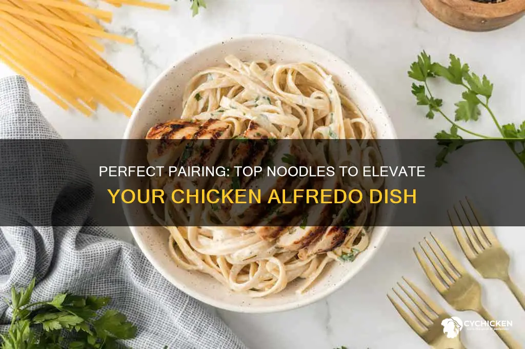 what are the best noodles for chicken alfredo