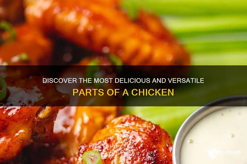 what are the best parts of a chicken