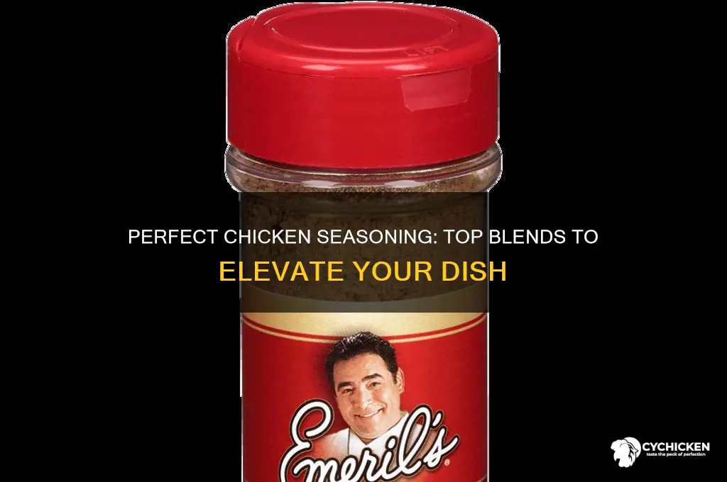 what are the best seasoning for chicken