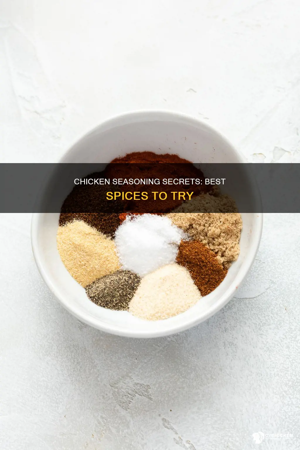 what are the best seasonings to put on chicken