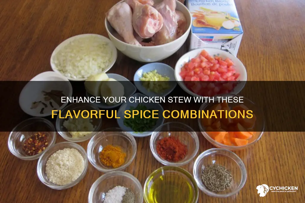 what are the best spices for chicken stew