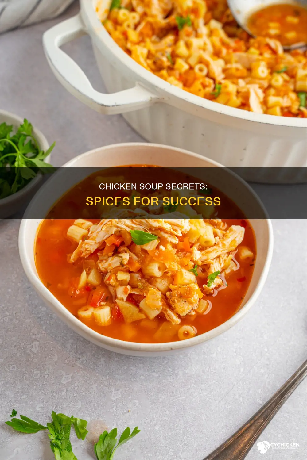 what are the best spices to put in chicken sou