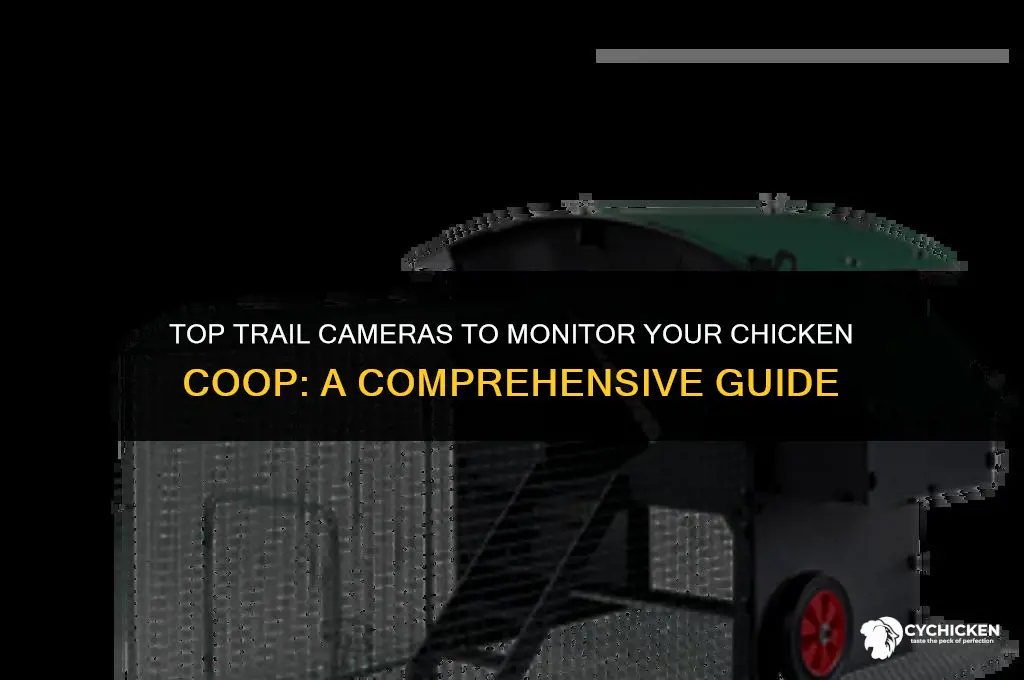 what are the best trail cameras for chicken coops