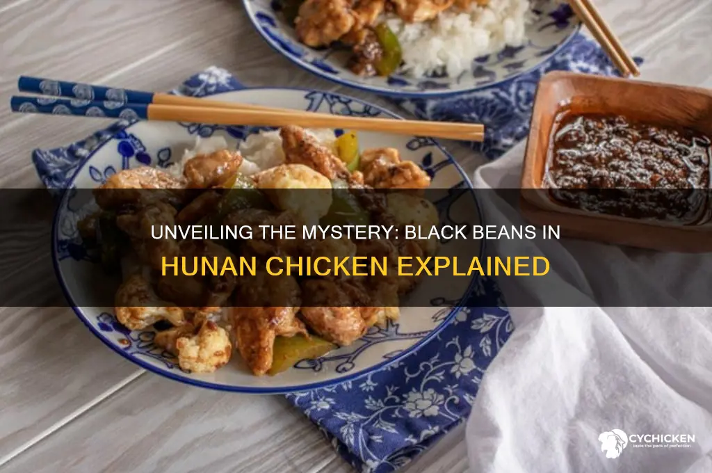 what are the black beans in hunan chicken