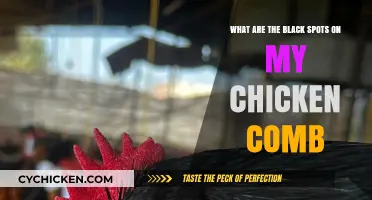 Spots on Chicken Combs: What Do They Mean?