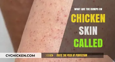 Understanding Chicken Skin Bumps: What Are Those Tiny Lumps Called?