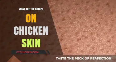 Understanding Chicken Skin Bumps: Causes, Prevention, and Treatment Options